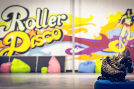 Wrotkarnia Roller Disco
