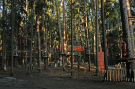 Olsztyn Atrakcja park linowy Leśny Park Linowy