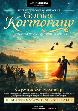 Olsztyn Wydarzenie Koncert Goniąc Kormorany - wspomnienia najpiekniejszych lat