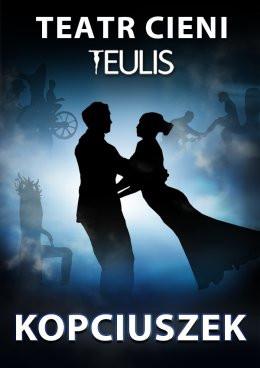 Olsztyn Wydarzenie Inne wydarzenie TEATR CIENI TEULIS - Spektakl Familijny "Kopciuszek"