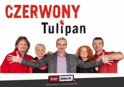 Olsztyn Wydarzenie Koncert Czerwony Tulipan - koncert "Nasz Miszmasz"
